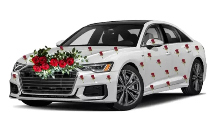 Audi A6 wading Rent a Car