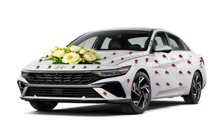 Hyundai Elantra wading Rent a Car