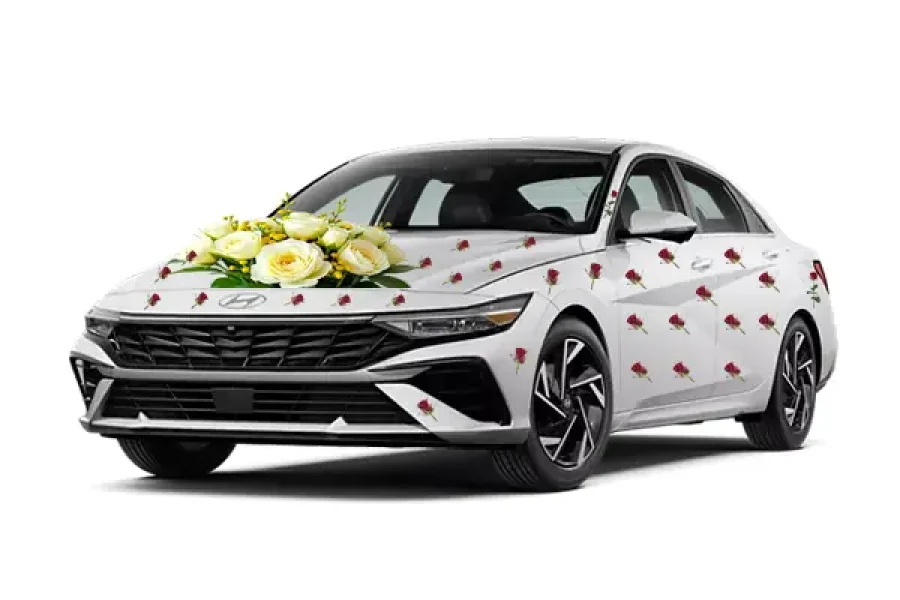 Hyundai Elantra wading Rent a Car